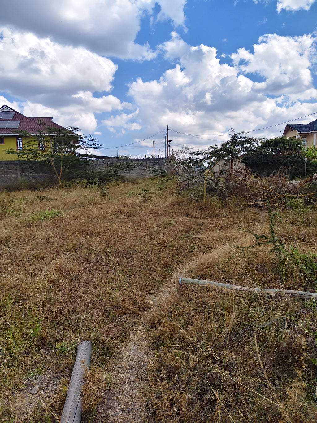Thorn grove
