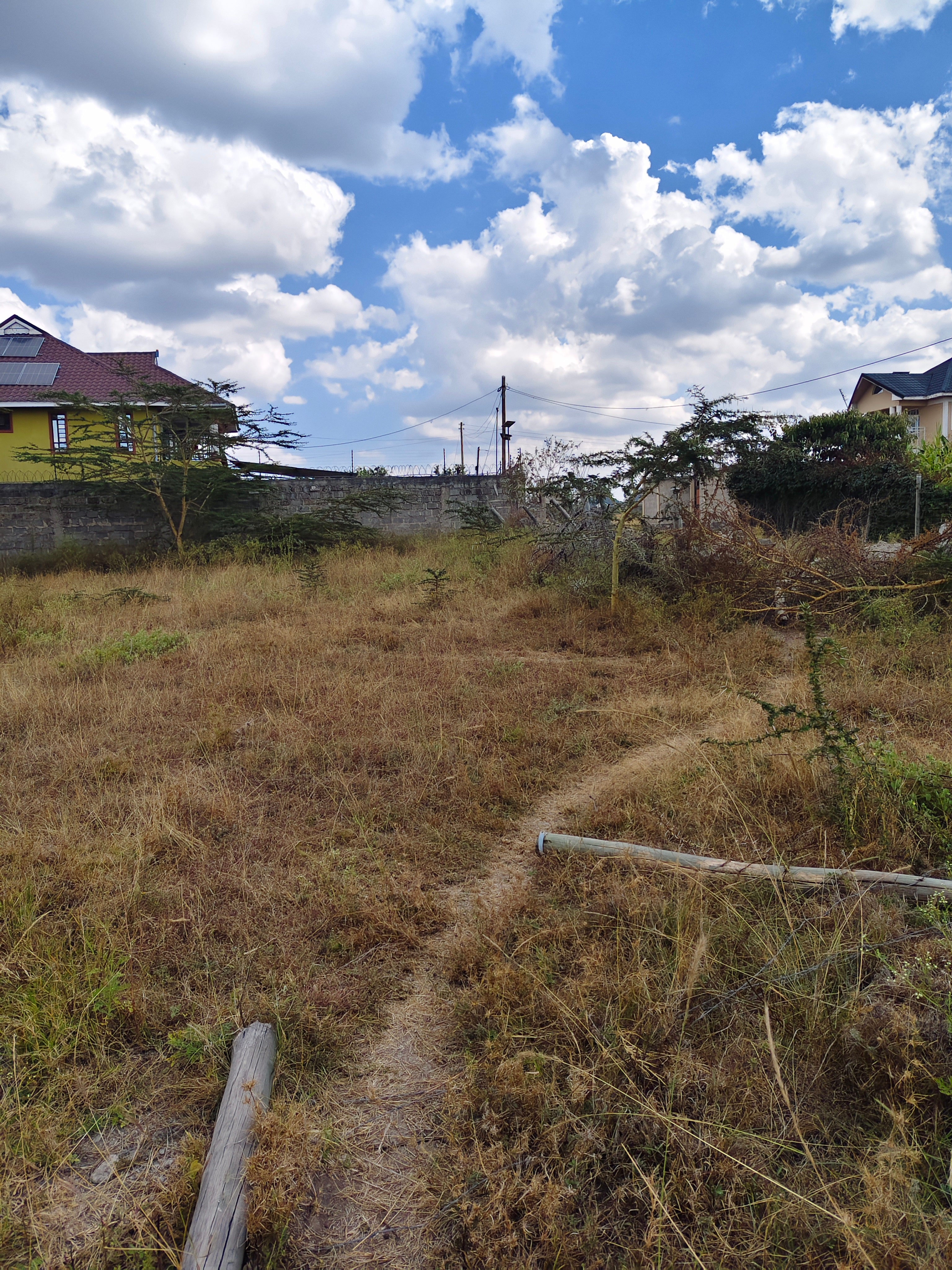 Thorn grove