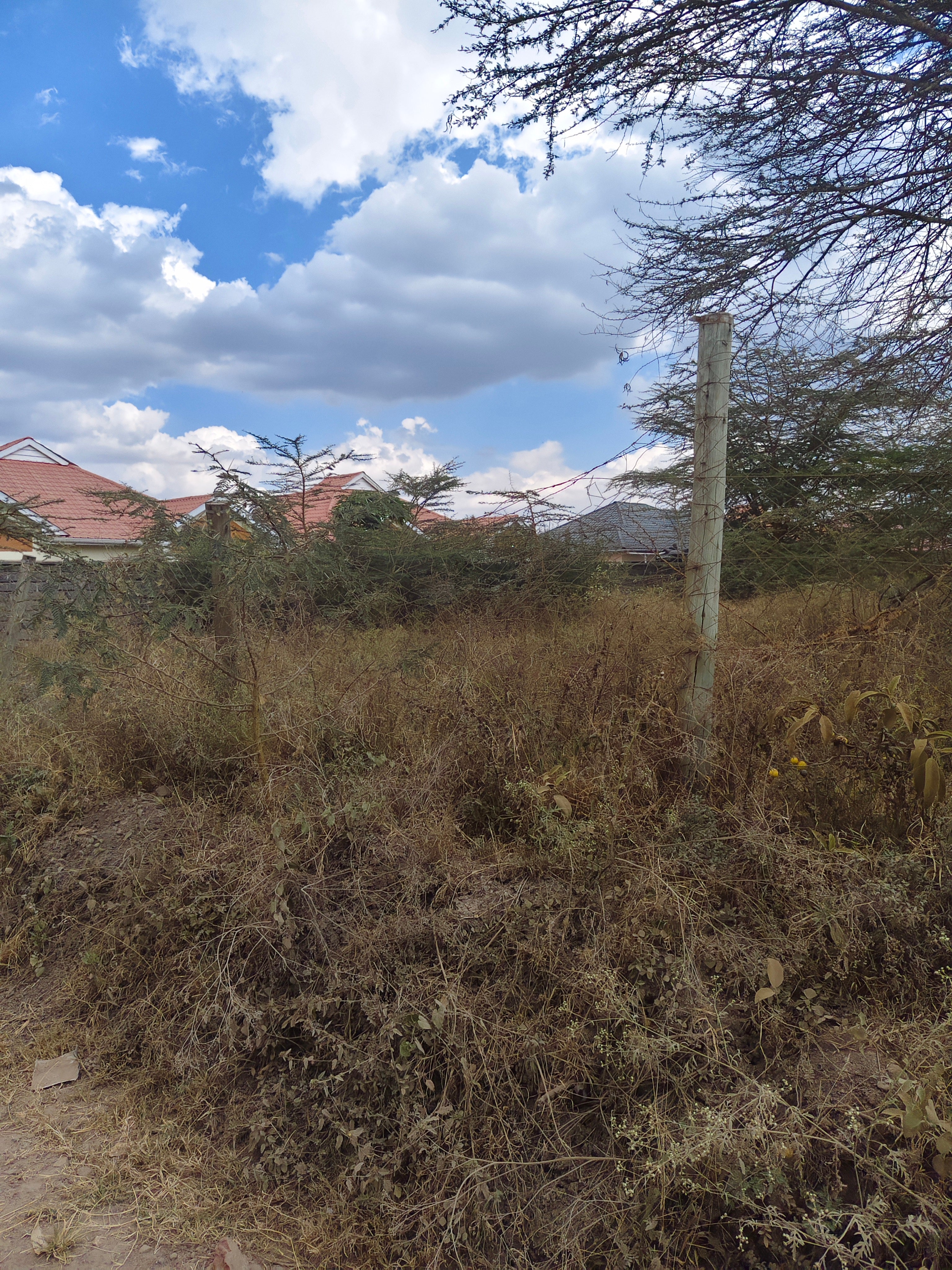 Thorne grove