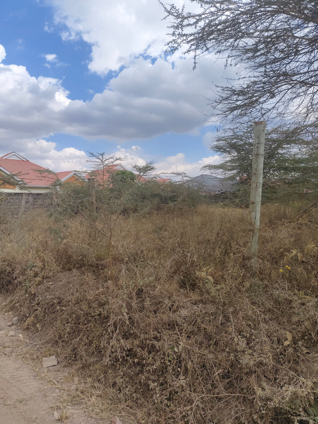 Thorne grove