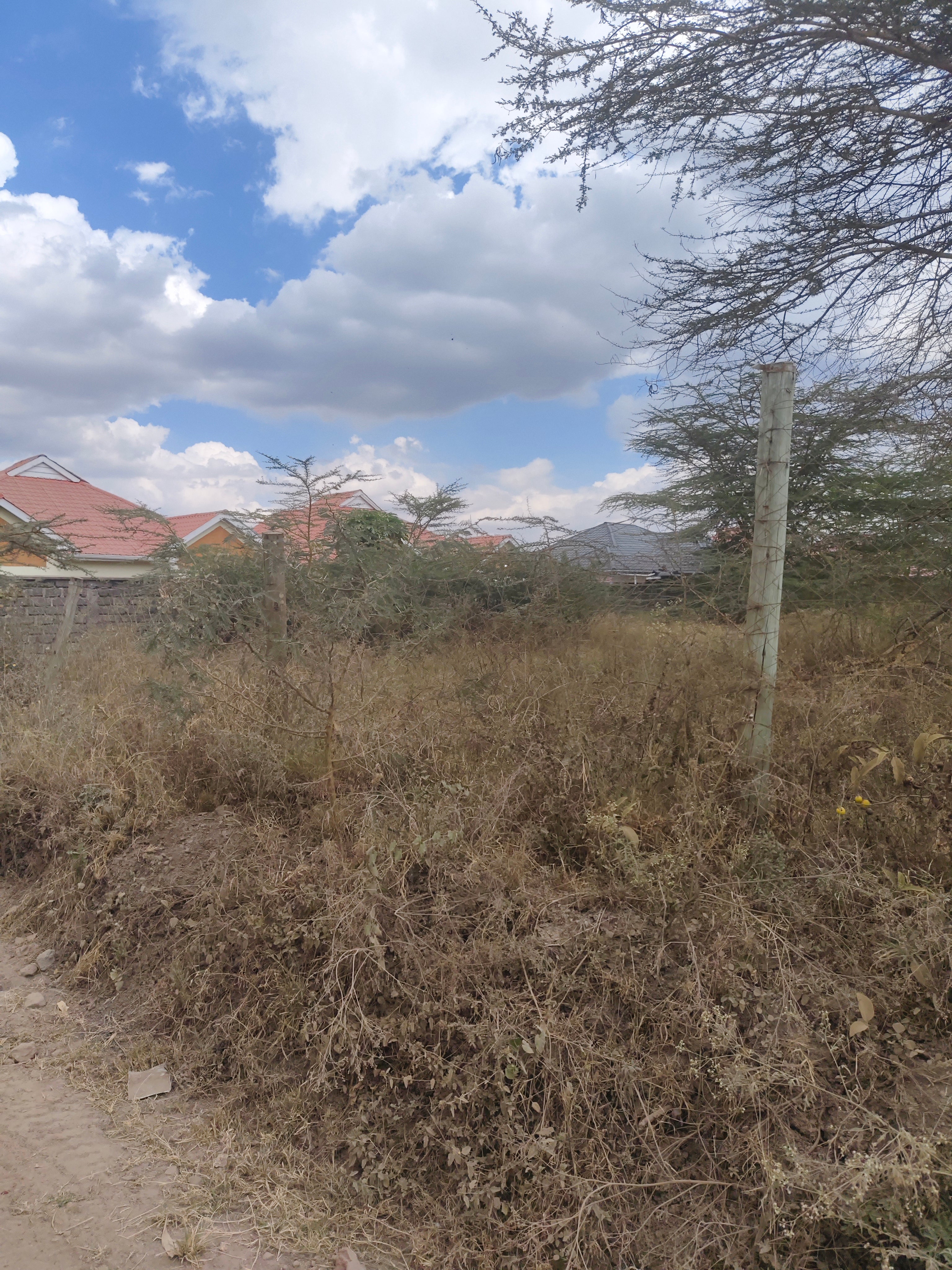 Thorne grove