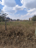 Milimani kitengela