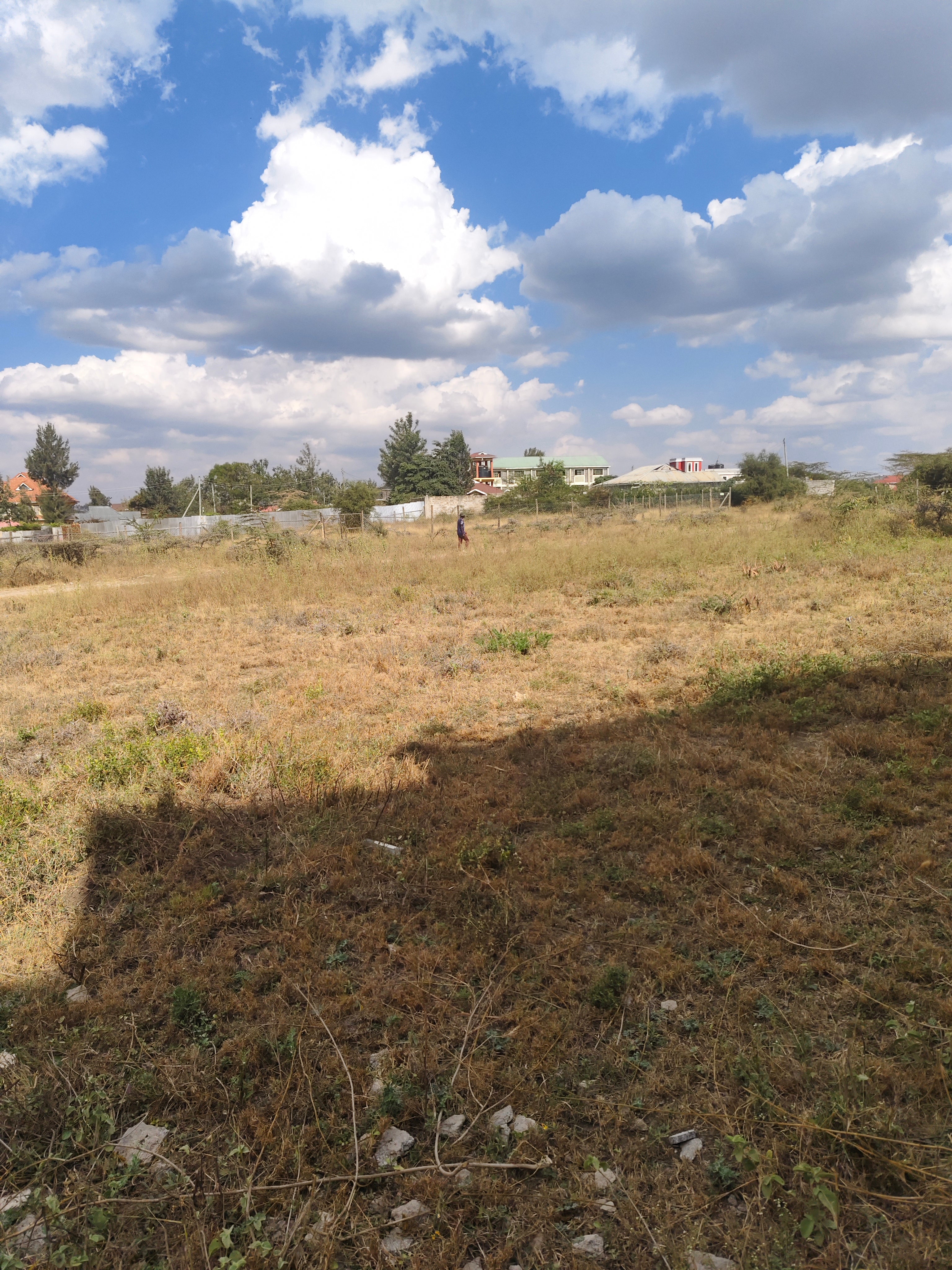 Milimani kitengela