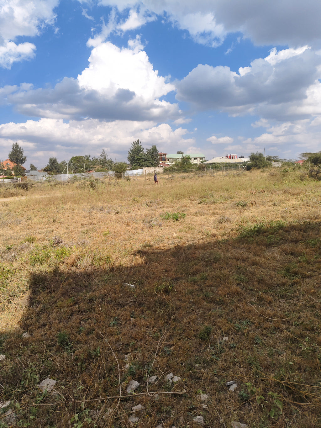 Milimani kitengela