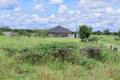 Pace Garden Estate