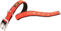 Ferplast CF25/55 Dog Lead 45-55Cm