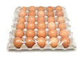 Mayal Tamu 30Pack