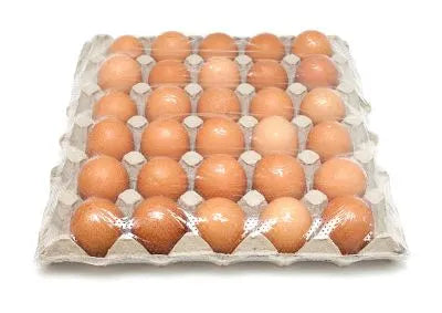 Mayal Tamu 30Pack
