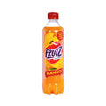 Fruitz Mango 500Ml
