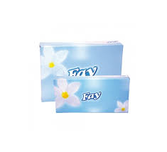 Fay Facial Tissue White 80S (A)