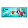 Dairyland Blue Warner Bros Ice Cream Stick 70Ml