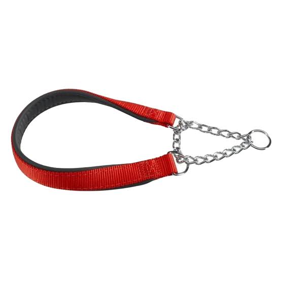 Ferplast 4922 Daytona Dog Collar C45Mm/45Cm Red