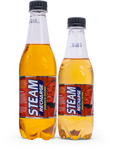Steam Recharge 300Ml