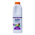 Jolly Fresh Yogurt Natural 1L