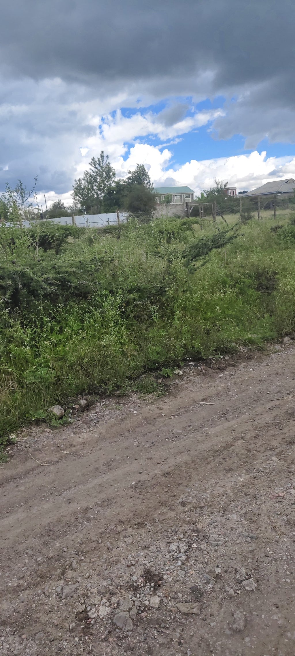 Milimani kitengela